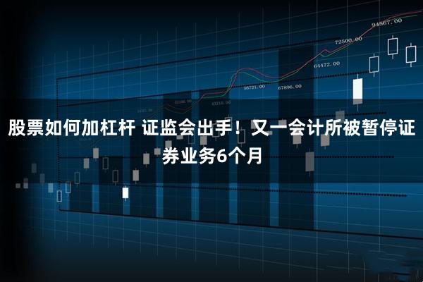 股票如何加杠杆 证监会出手！又一会计所被暂停证券业务6个月