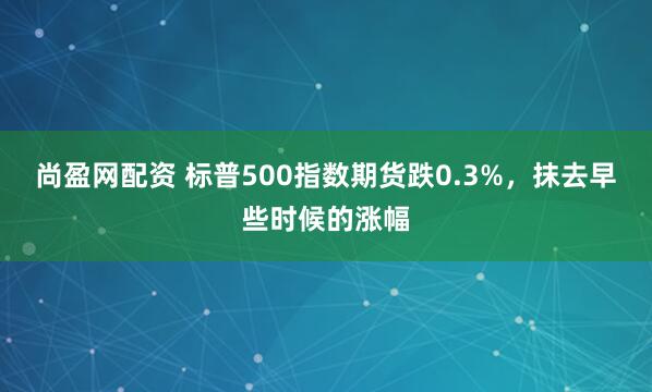 尚盈网配资 标普500指数期货跌0.3%，抹去早些时候的涨幅