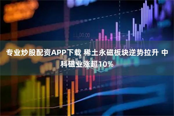 专业炒股配资APP下载 稀土永磁板块逆势拉升 中科磁业涨超10%