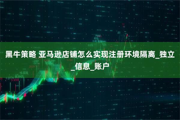 黑牛策略 亚马逊店铺怎么实现注册环境隔离_独立_信息_账户