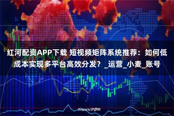 红河配资APP下载 短视频矩阵系统推荐：如何低成本实现多平台高效分发？_运营_小麦_账号