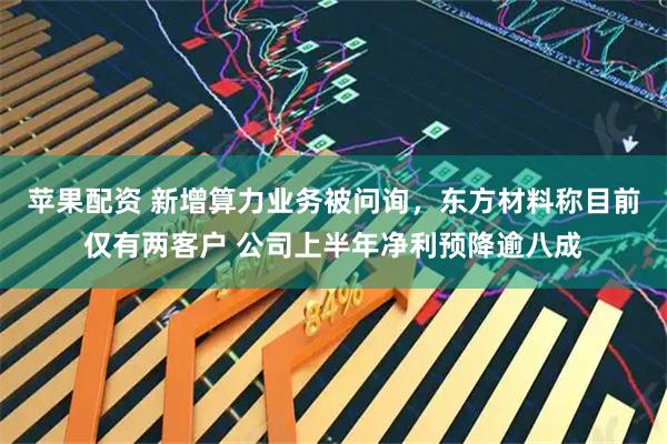 苹果配资 新增算力业务被问询，东方材料称目前仅有两客户 公司上半年净利预降逾八成