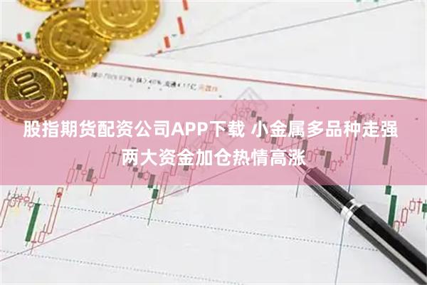 股指期货配资公司APP下载 小金属多品种走强 两大资金加仓热情高涨